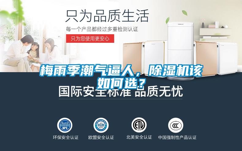 梅雨季潮气逼人,除湿机该如何选?
