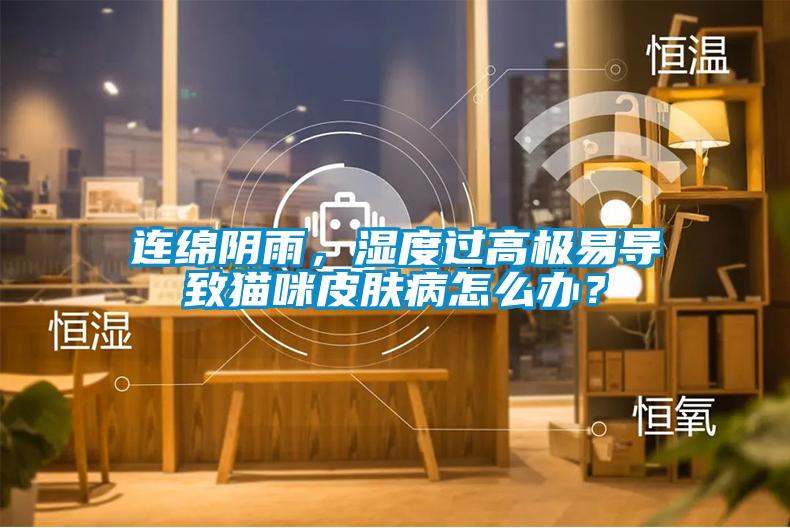 连绵阴雨,湿度过高极易导致猫咪皮肤病怎么办?