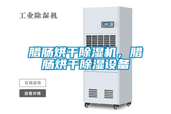 腊肠烘干除湿机,腊肠烘干除湿设备