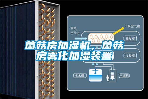 菌菇房加湿机,菌菇房雾化加湿装置