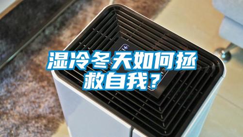 湿冷冬天如何拯救自我?