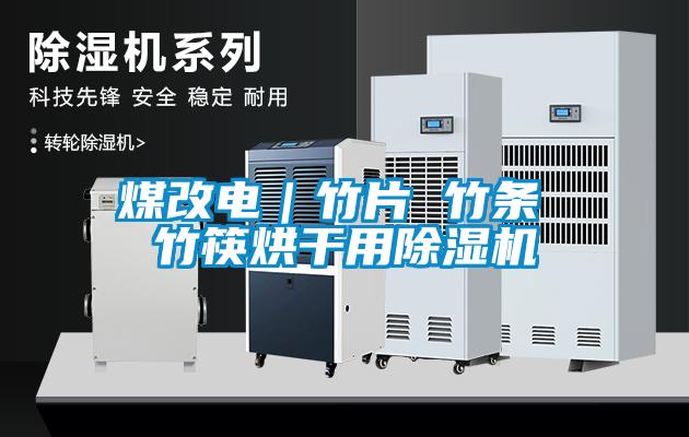 煤改电|竹片 竹条 竹筷烘干用除湿机