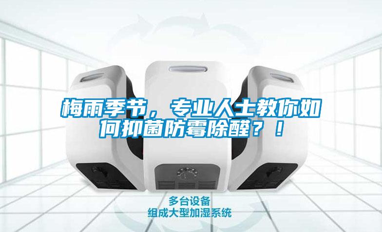 梅雨季节,专业人士教你如何抑菌防霉除醛?!