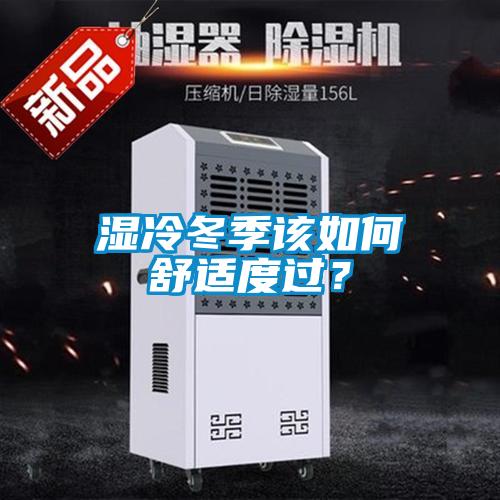 湿冷冬季该如何舒适度过?