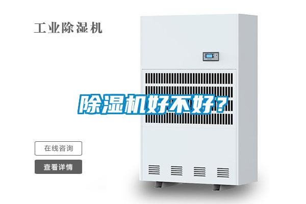 除湿机好不好?