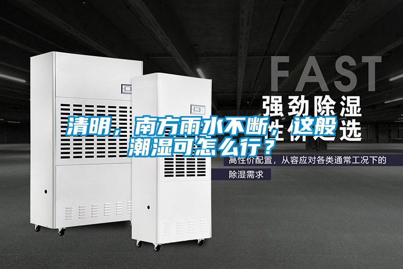 清明,南方雨水不断,这般潮湿可怎么行?