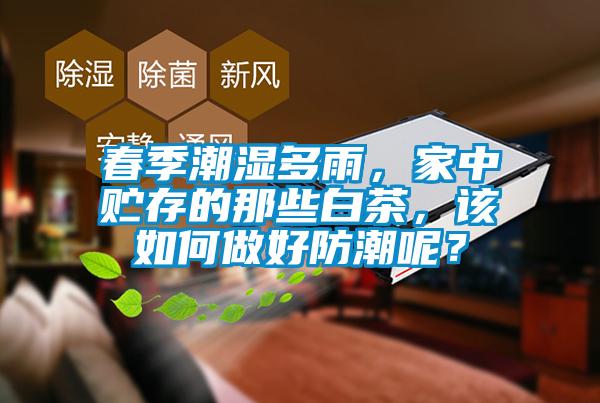 春季潮湿多雨,家中贮存的那些白茶,该如何做好防潮呢?