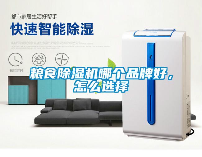 粮食除湿机哪个品牌好,怎么选择