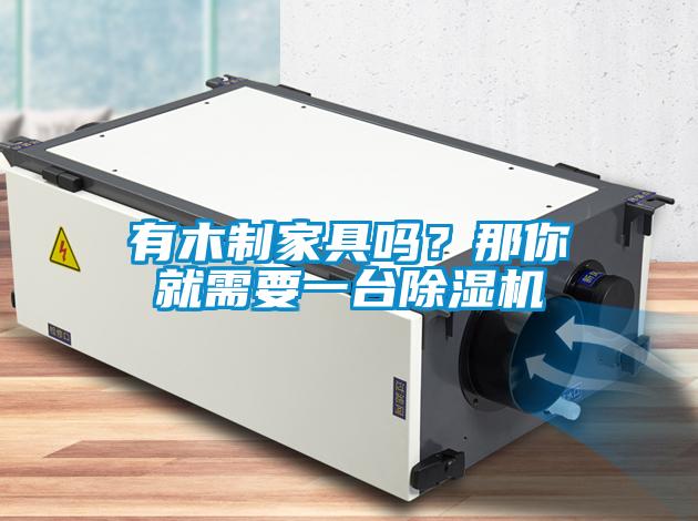 有木制家具吗?那你就需要一台除湿机