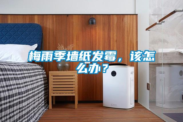 梅雨季墙纸发霉,该怎么办?