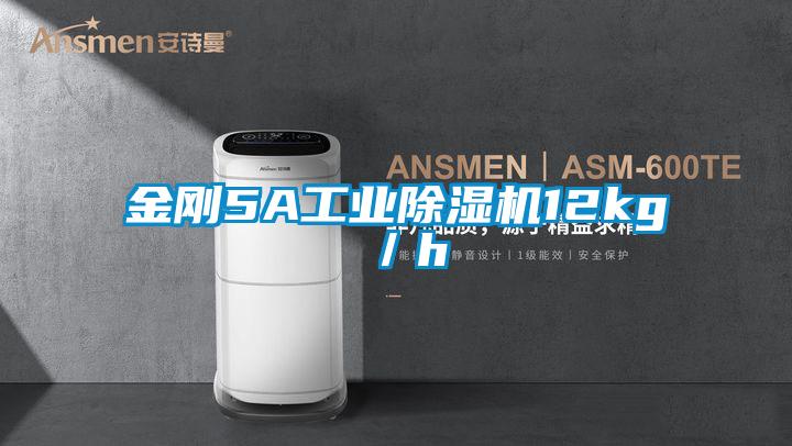 金刚5A工业除湿机12kg/h