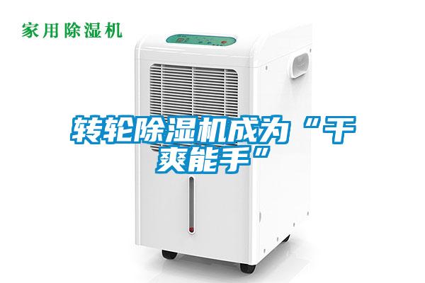 转轮除湿机成为“干爽能手”