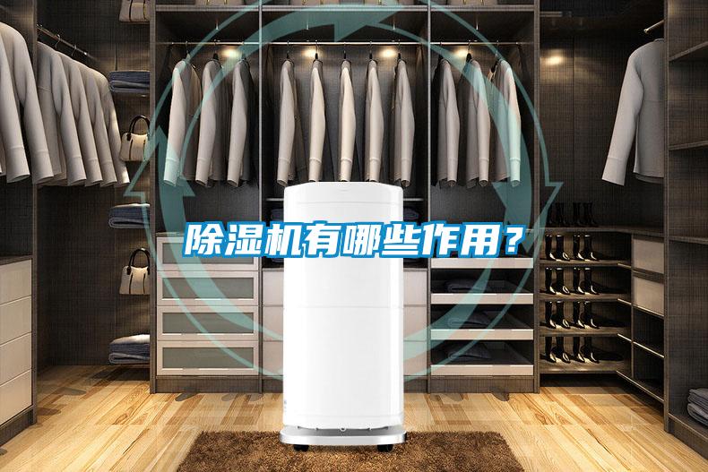 除湿机有哪些作用?