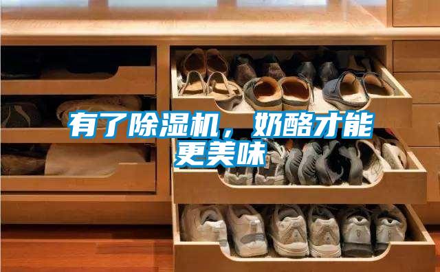 有了除湿机,奶酪才能更美味