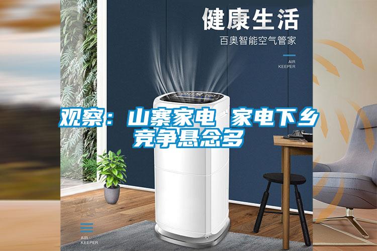 观察:山寨家电 家电下乡竞争悬念多