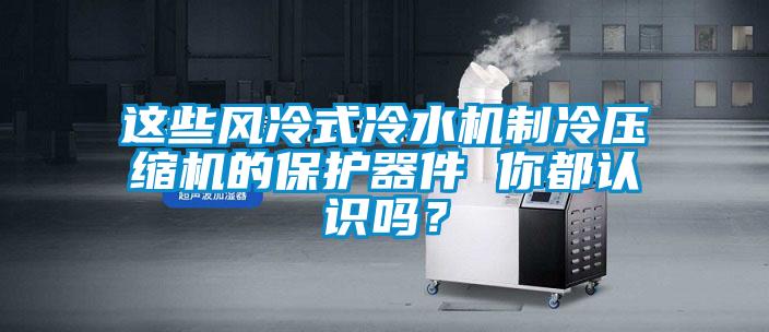 这些风冷式冷水机制冷压缩机的保护器件 你都认识吗?