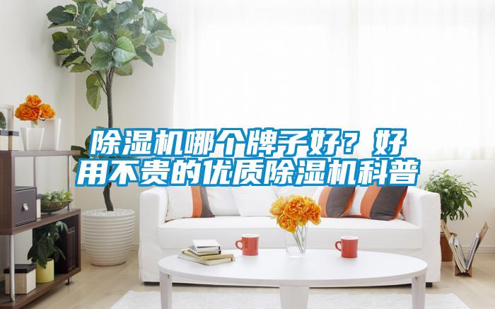 除湿机哪个牌子好?好用不贵的优质除湿机科普