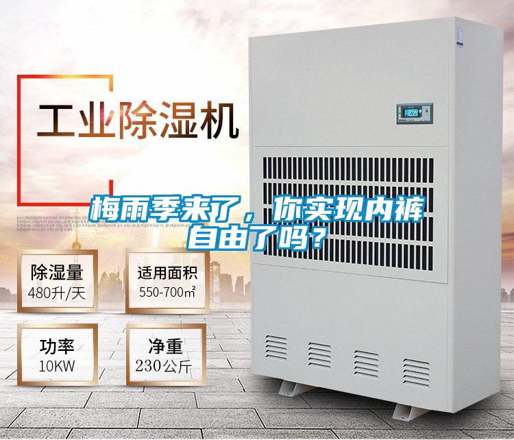 梅雨季来了,你实现内裤自由了吗?