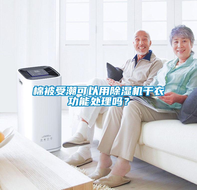 棉被受潮可以用除湿机干衣功能处理吗?