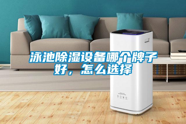 泳池除湿设备哪个牌子好,怎么选择