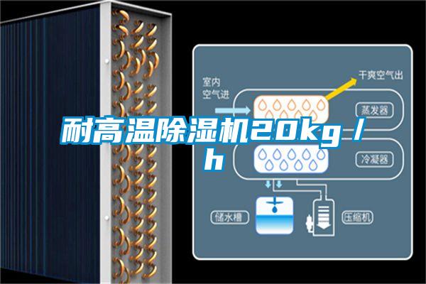 耐高温除湿机20kg/h