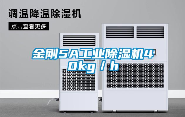 金刚5A工业除湿机40kg/h