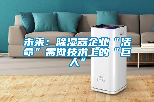 未来:除湿器企业“活命”需做技术上的“巨人”