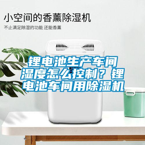 锂电池生产车间湿度怎么控制?锂电池车间用除湿机