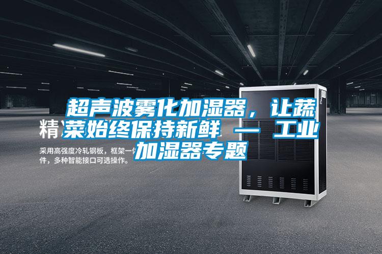 超声波雾化加湿器,让蔬菜始终保持新鲜 — 工业加湿器专题