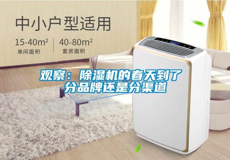 观察:除湿机的春天到了 分品牌还是分渠道