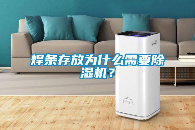 焊条存放为什么需要除湿机?