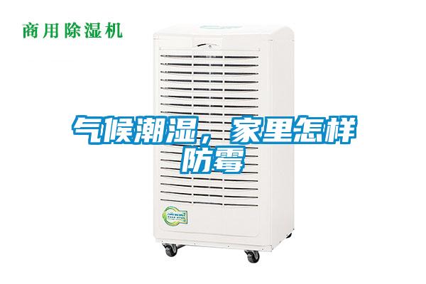 气候潮湿,家里怎样防霉