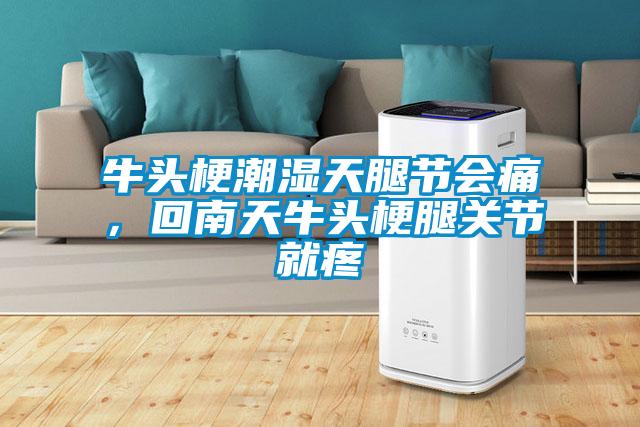 牛头梗潮湿天腿节会痛,回南天牛头梗腿关节就疼