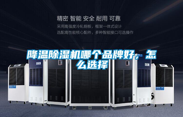 降温除湿机哪个品牌好,怎么选择
