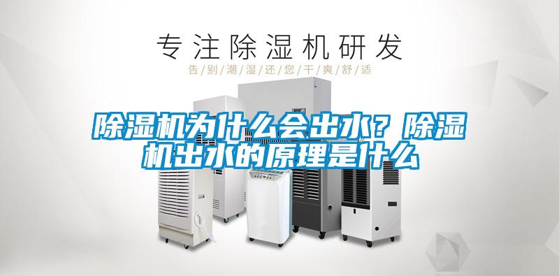 除湿机为什么会出水?除湿机出水的原理是什么