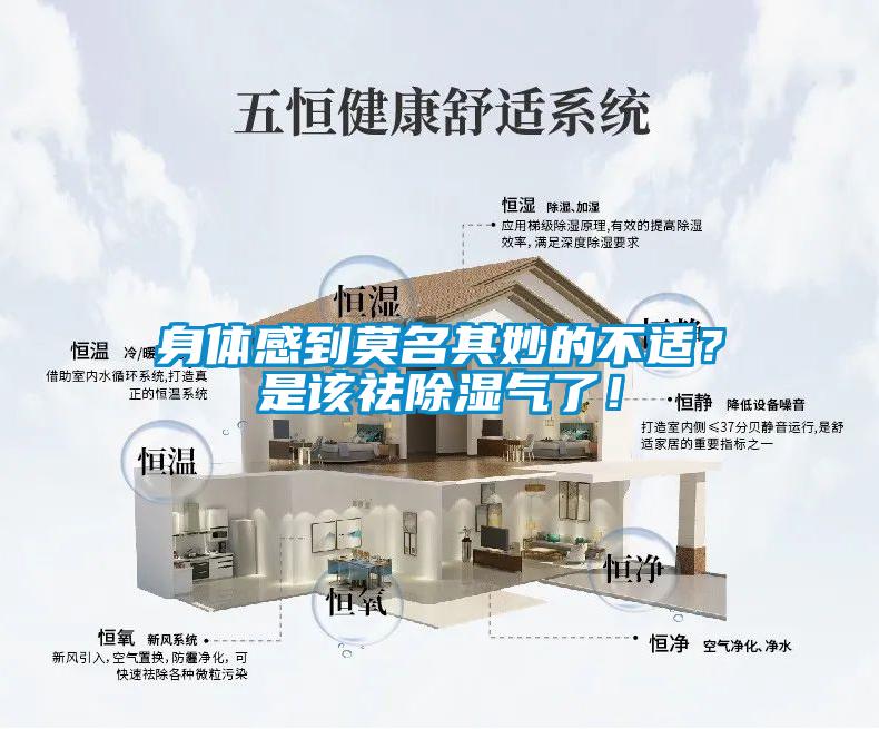 身体感到莫名其妙的不适?是该祛除湿气了!