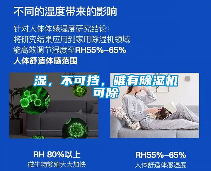 湿,不可挡,唯有除湿机可除