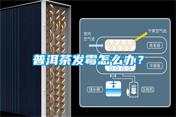 普洱茶发霉怎么办?