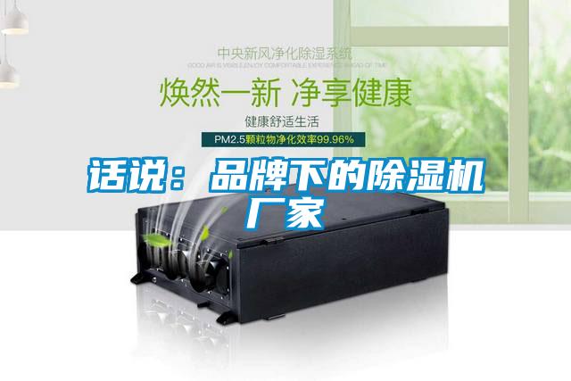 话说:品牌下的除湿机厂家