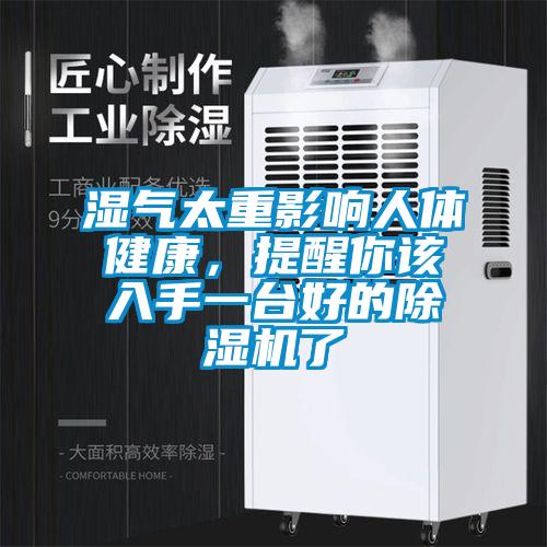 湿气太重影响人体健康,提醒你该入手一台好的除湿机了