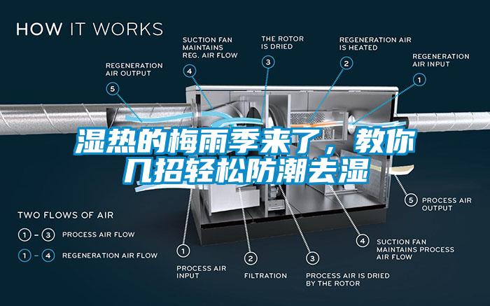 湿热的梅雨季来了,教你几招轻松防潮去湿