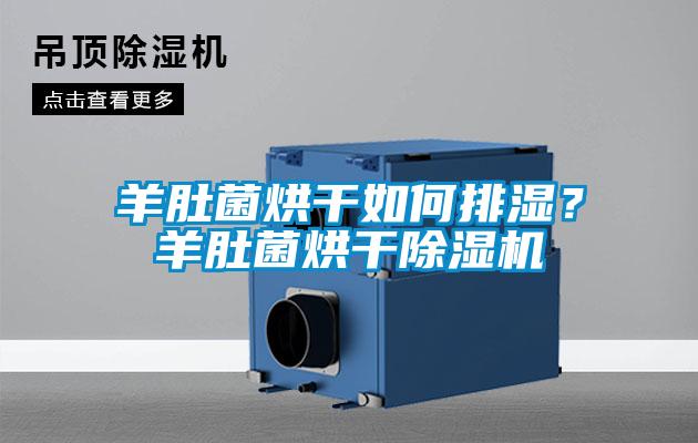 羊肚菌烘干如何排湿?羊肚菌烘干除湿机