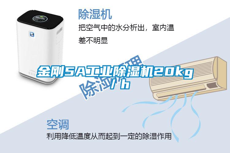 金刚5A工业除湿机20kg/h