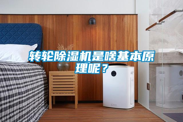 转轮除湿机是啥基本原理呢?