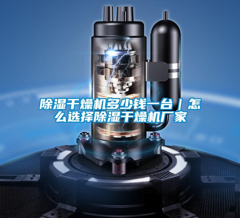 除湿干燥机多少钱一台|怎么选择除湿干燥机厂家