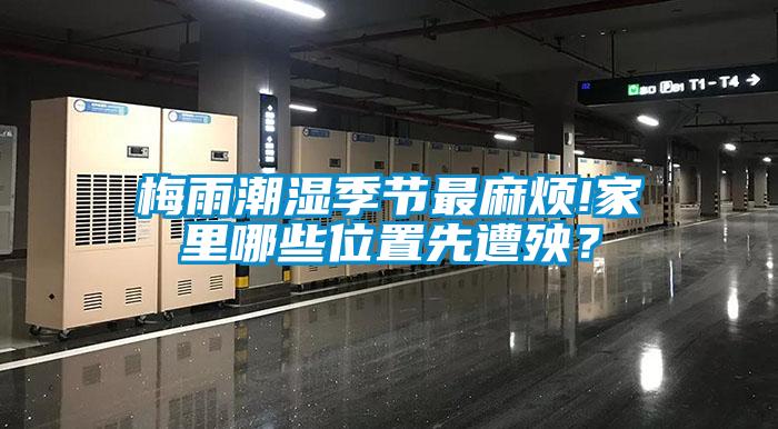 梅雨潮湿季节最麻烦!家里哪些位置先遭殃?