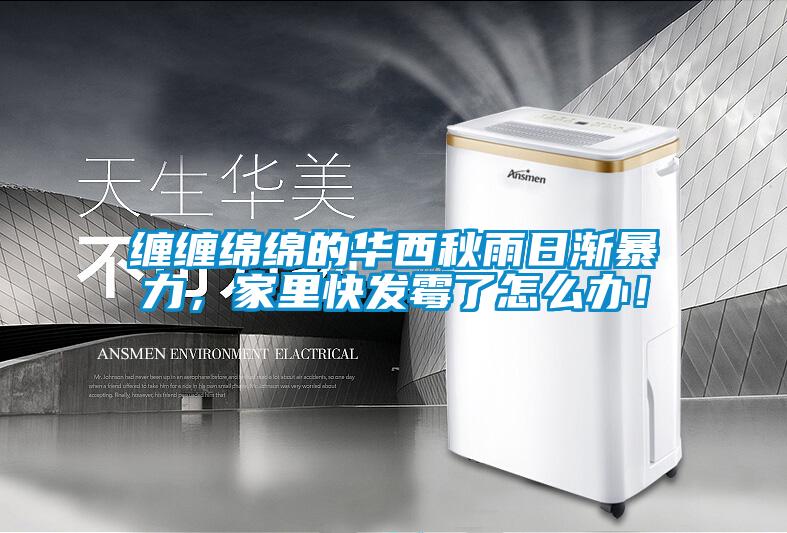 缠缠绵绵的华西秋雨日渐暴力,家里快发霉了怎么办!