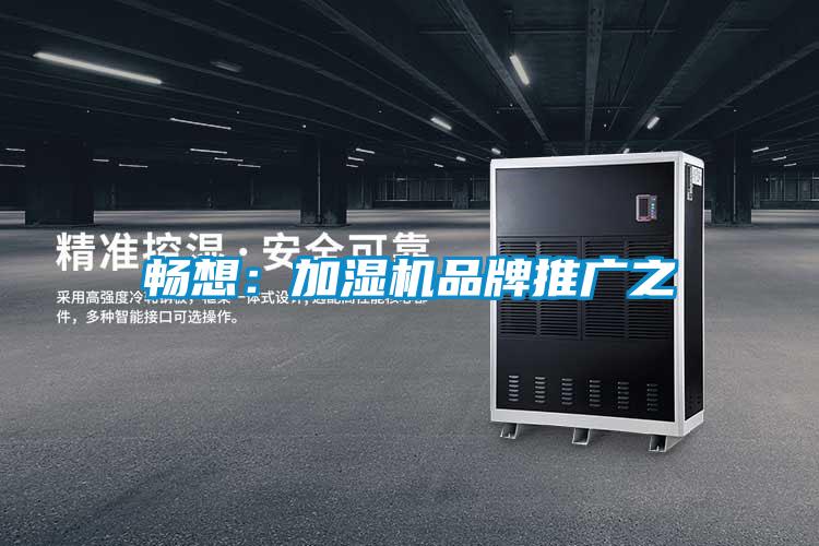 畅想:加湿机品牌推广之
