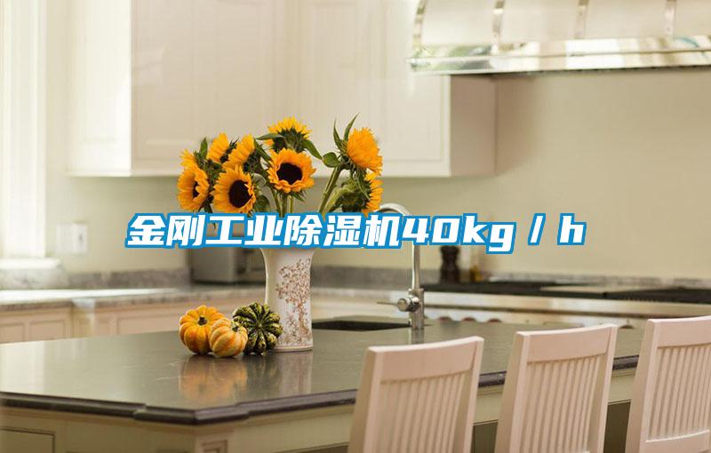 金刚工业除湿机40kg/h