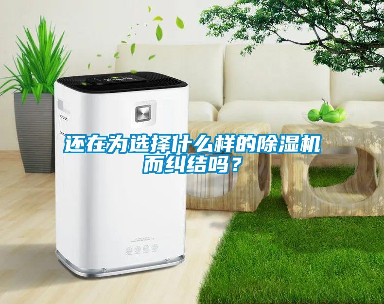 还在为选择什么样的除湿机而纠结吗?